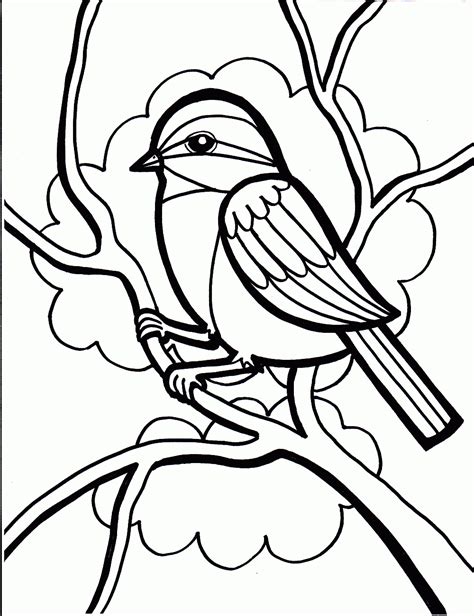 Printable Coloring Pages Birds